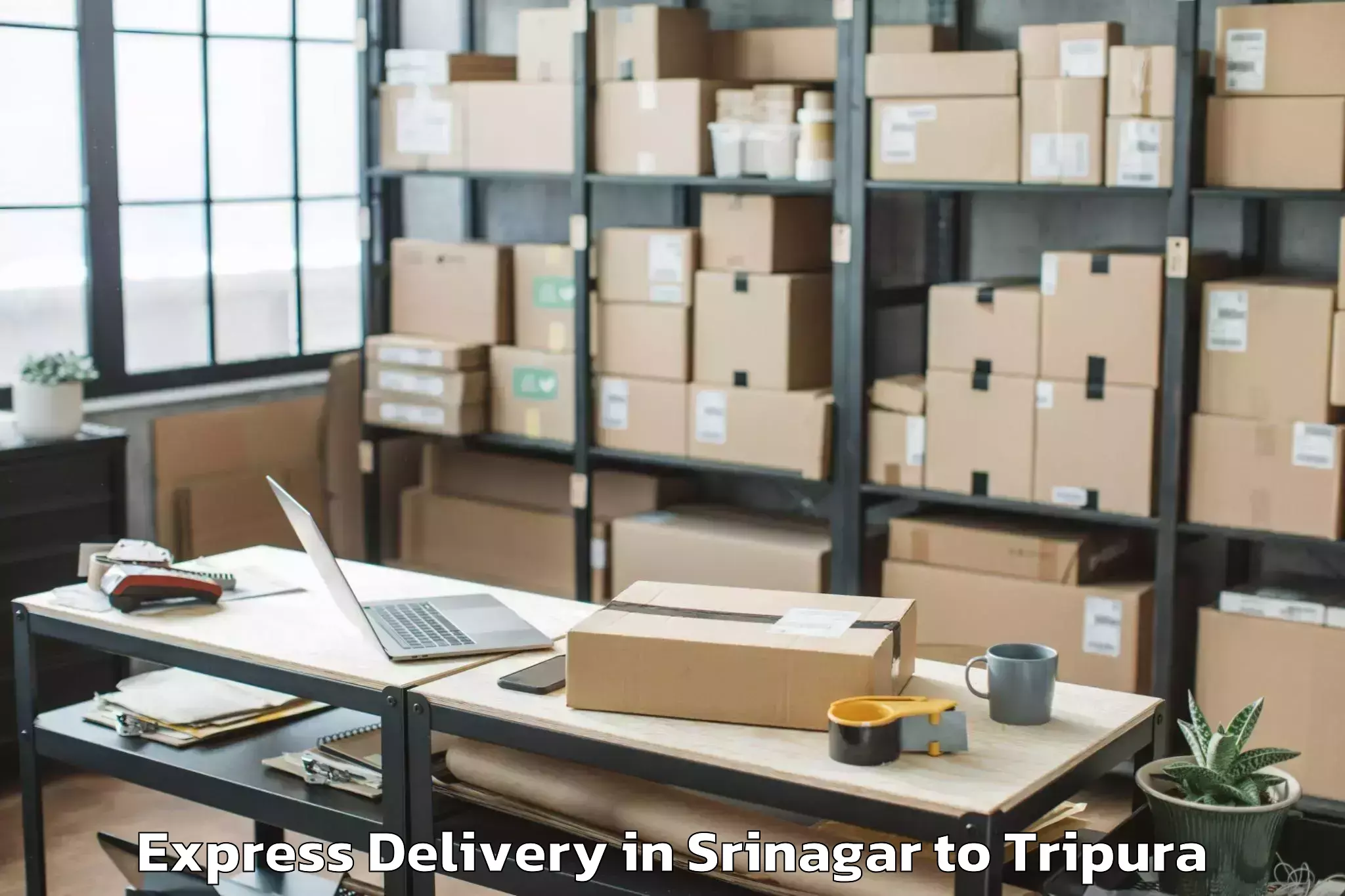 Leading Srinagar to Ambassa Express Delivery Provider